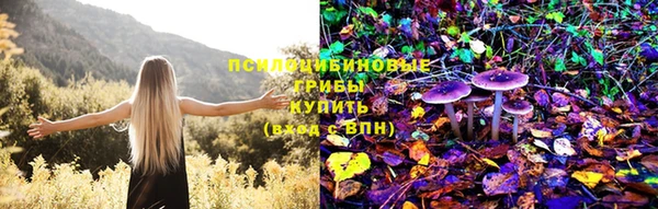 мескалин Арсеньев